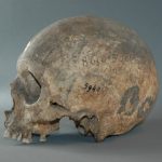Le crâne de Boubaghla. D. R.
