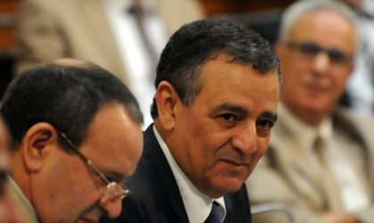 Bouchouareb : «L’Algérie doit devenir un hub minier régional»