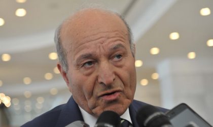 Issad Rebrab : «Nous avons sauvé des entreprises européennes grâce à nos investissements en Algérie»