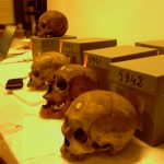 Pour la LDH aussi, les crânes de résistants algériens n’ont rien à faire au Musée de l’Homme. Photo : Ali Farid Belkadi