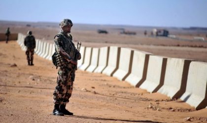 Le chercheur en histoire militaire Tewfik Hamel à Algeriepatriotique : «L’Algérie a la capacité d’agir en Libye»