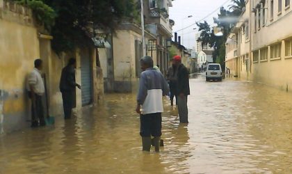 Tébessa : des habitations inondées suite aux pluies orageuses à Morsot