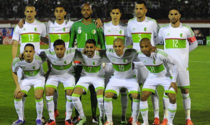 Algérie-Lesotho : Rajevac veut réussir ses débuts avec les Verts