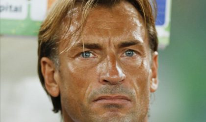 Raouraoua dément tout contact avec l’entraîneur Hervé Renard