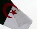 La députée Chafia Mentalecheta dénonce la profanation du drapeau algérien en France