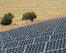 Le FCE contribue à un vaste programme de fermes photovoltaïques