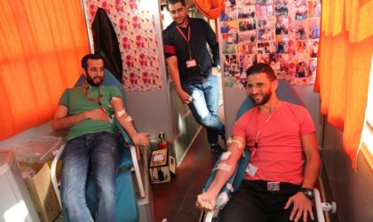 Les employés d’Ooredoo donnent leur sang pour aider les malades