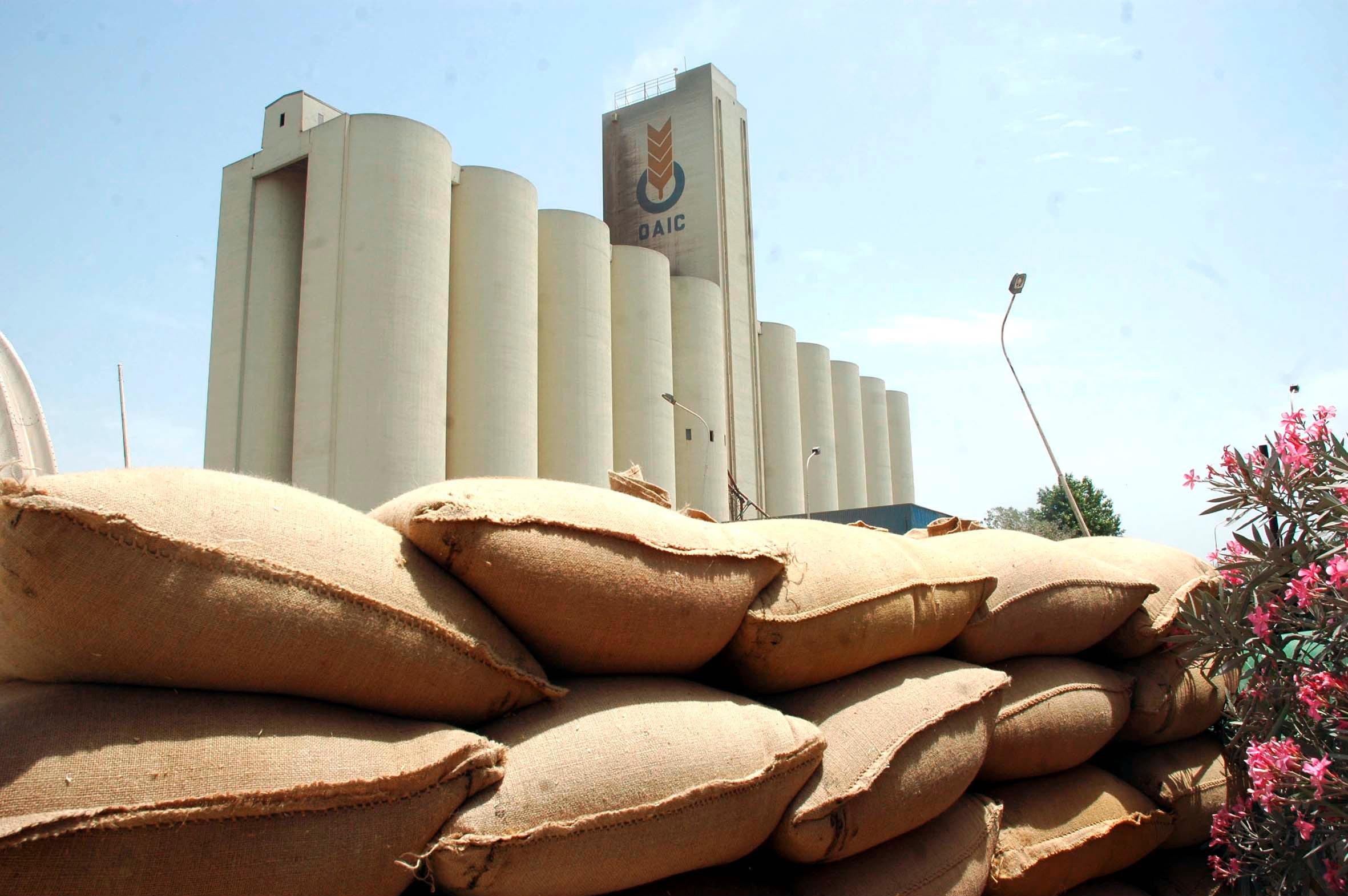 La facture d'importation des céréales en 2015 avait été de 3,43 milliards de dollars. New Press