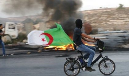 Un Palestinien brûle le drapeau algérien : indignation générale à Gaza et en Cisjordanie