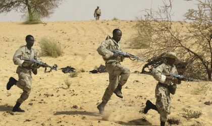 Terrorisme : l’Algérie et le Canada au chevet du Sahel