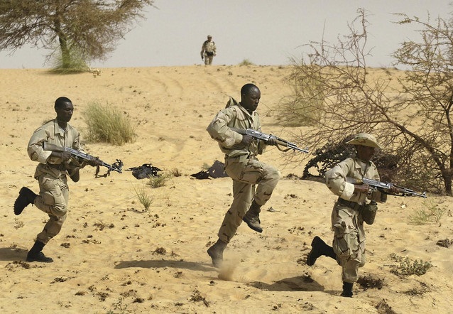 Le Sahel, une préoccupation majeure. D. R.