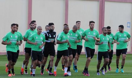 Azzi, Benyahia, Belkhiter et Saadi font leur baptême du feu chez les Verts