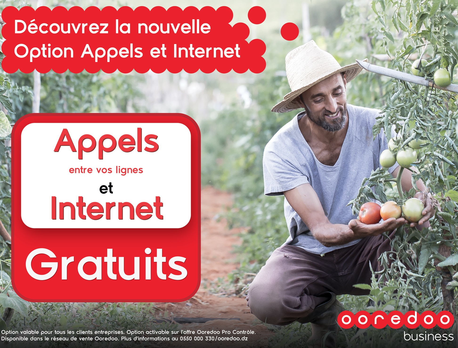 La nouvelle offre est disponible à travers tout le territoire national. D. R.