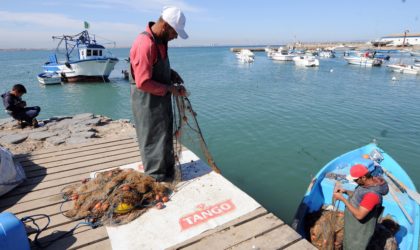 Poisson : stagnation de la production nationale