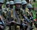 Gambie : les troupes sénégalaises ont franchi la frontière