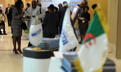 L’expert Ilyes Zouari à Algeriepatriotique : «L’Afrique doit se libérer de la dollarisation très poussée de son économie» (II)