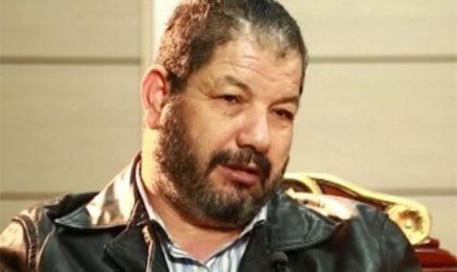 Risultati immagini per ali fodil