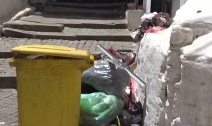 Scandale à Batna : des dossiers de l’aide financière retrouvés dans des poubelles