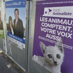 Les Français iront-ils voter ? D. R.