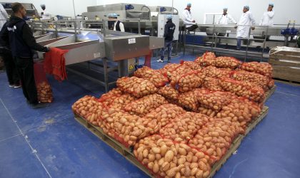 L’Algérie approvisionne l’émirat du Qatar sous embargo en denrées alimentaires