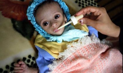 Yémen : l’ONU s’attend à 300 000 cas de choléra fin août
