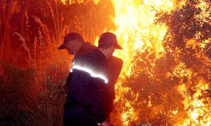 Béjaïa : plus de 100 hectares de végétation brûlés ces dernières 24 heures