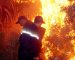 Béjaïa : plus de 100 hectares de végétation brûlés ces dernières 24 heures
