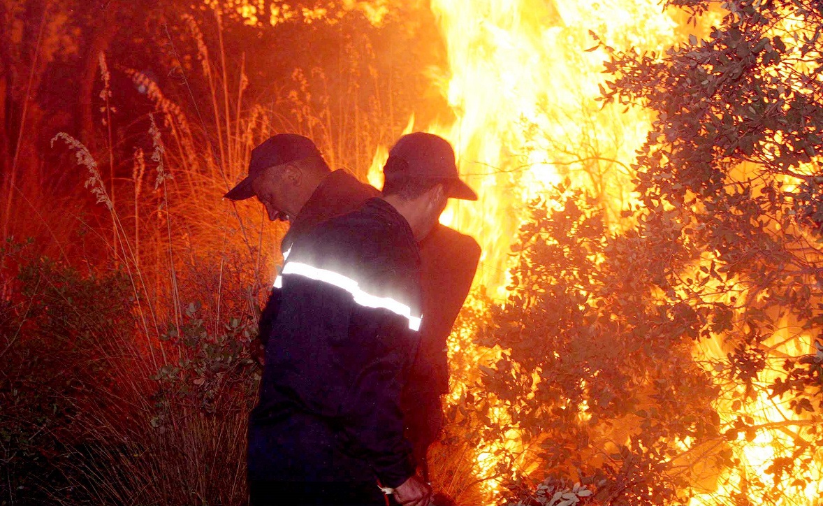 feu, incendie, forêt, Béjaïa