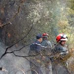 Feux de forêt incendies