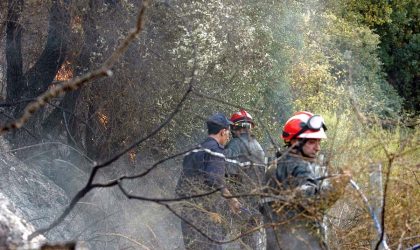 Des mains invisibles sont-elles derrière les feux de forêts en Kabylie ?