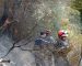 Des pompiers combattent un important feu de forêt à Béjaïa