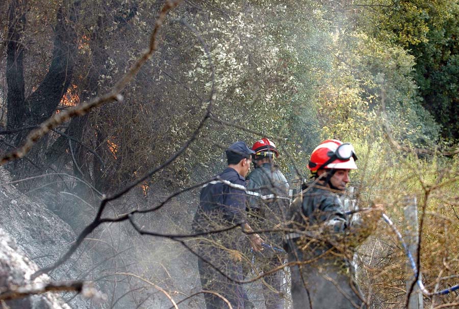 Feux de forêt incendies