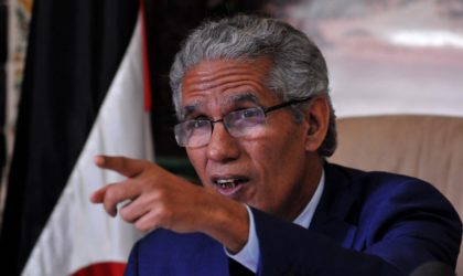 Sommet de l’UA : les Sahraouis causent des nuits blanches aux Marocains