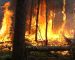 Un responsable du RCD dénonce des incendies suspects en Kabylie