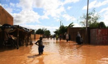 Niger : 23 morts après des pluies torrentielles