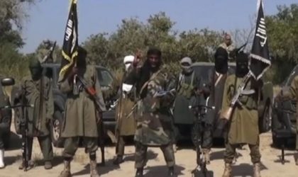 Niger : 39 otages aux mains de Boko Haram depuis début juillet  