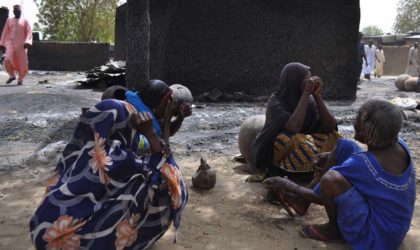 Nigeria : 31 pêcheurs massacrés par Boko Haram