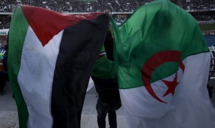 La caravane de soutien à Gaza rentre bredouille : camouflet pour l’Algérie ?