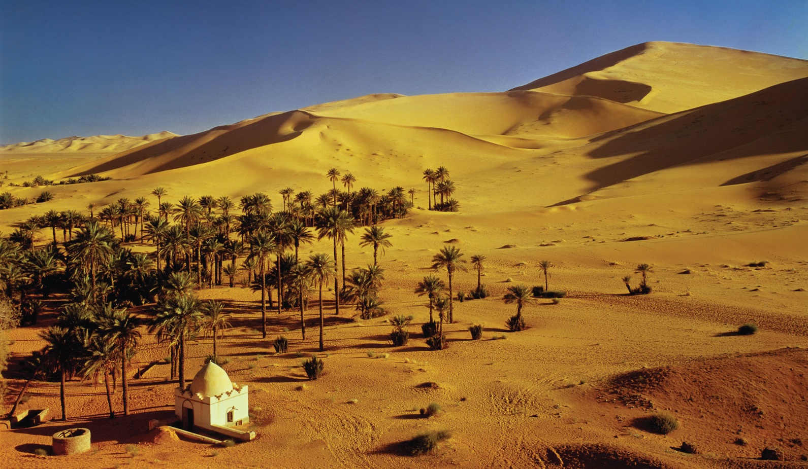 tourisme saharien