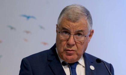 Mise en œuvre de l’accord Opep-non Opep : des pays «rappelés à l’ordre»
