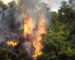 Incendies : 18 pyromanes arrêtés par la Gendarmerie nationale