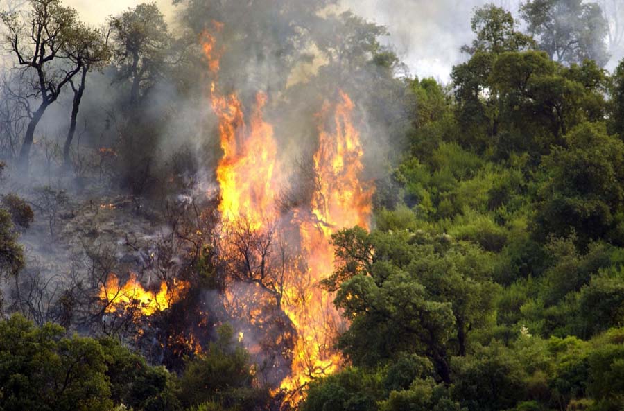 incendies pyromanes