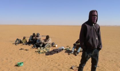 33 immigrants clandestins appréhendés à Adrar, Naâma et El-Oued