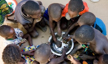 Crise alimentaire au Sahel : l’Algérie fournit une aide au Niger