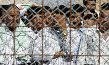Les deux ressortissants algériens libérés en Irak regagneront Alger cette semaine