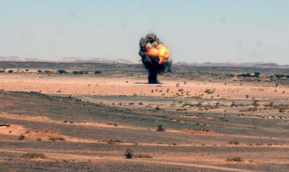 Djelfa : opération de destruction de mines antipersonnel