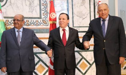 L’Algérie, la Tunisie et l’Egypte se concertent sur la Libye