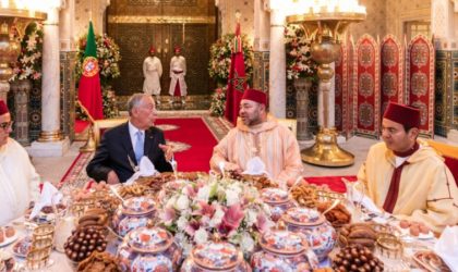 Scandale au Maroc : Mohammed VI importe des vaches malades pour nourrir son peuple
