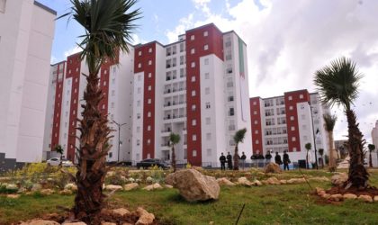 Priorités du gouvernement Ouyahia : logement, énergie, habitat et agriculture