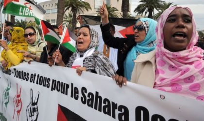 Sahara Occidental : l’Eucoco fixe ses objectifs pour déconstruire le discours du Maroc